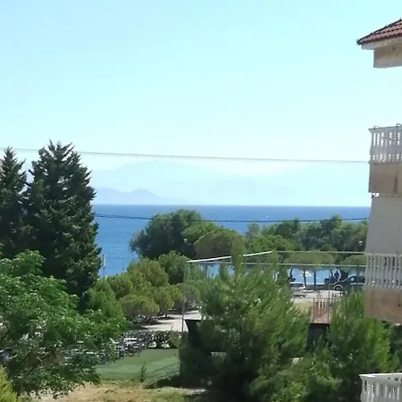 Aelio Deluxe Akrata