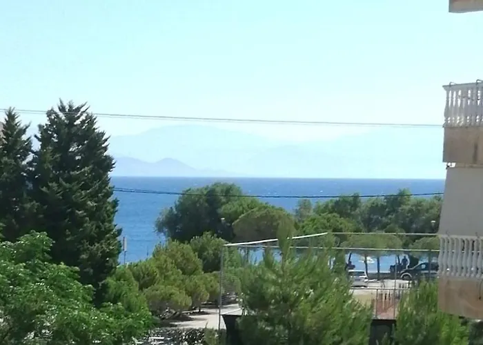 Aelio Deluxe Akrata